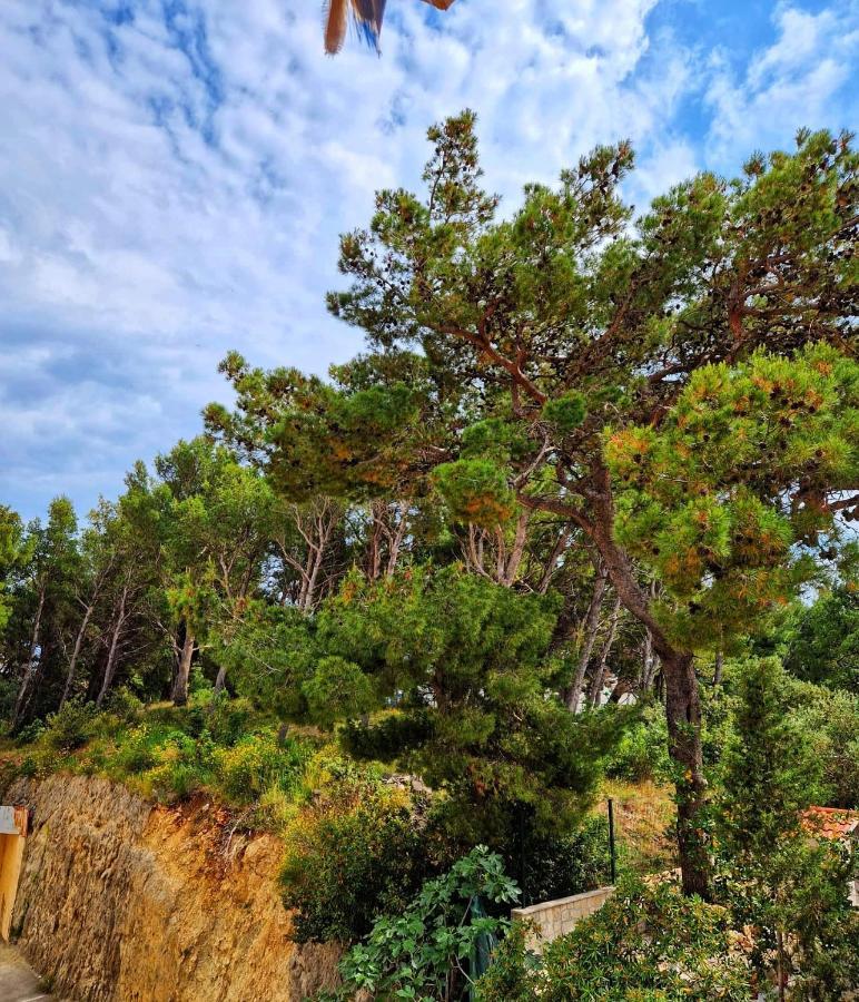 Apartman Mar18 Makarska Zewnętrze zdjęcie